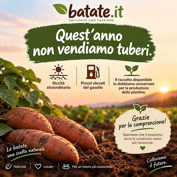 eshop-IT